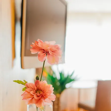 Fischerhaus Garni 3*